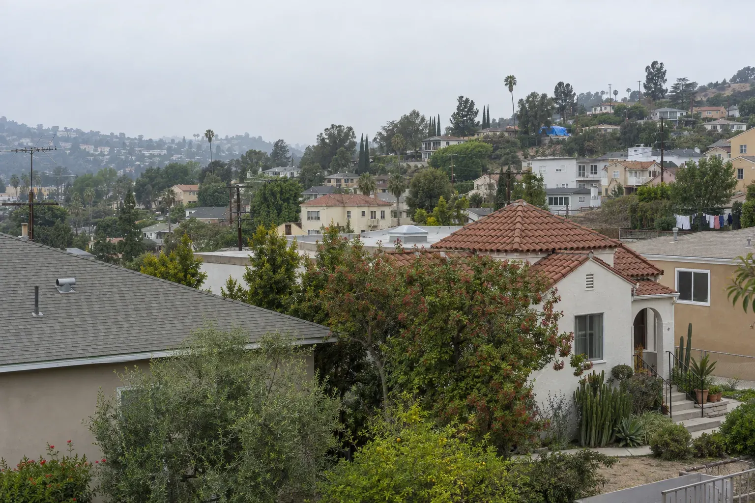Mixed tile, shingle and flat roofs across a hillside neighbourhood